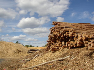 BWI biomassa centrale utrecht eneco lage weide